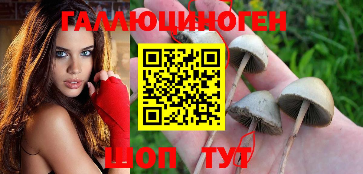 Сергиев Посад  Галлюциногенные грибы MAGIC MUSHROOMS  продажа наркотиков  Вход с VPN 