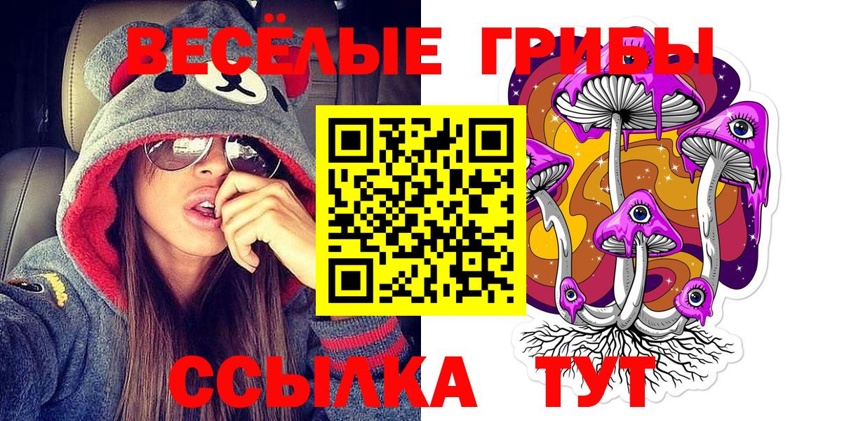Псилоцибиновые грибы Cubensis Сергиев Посад